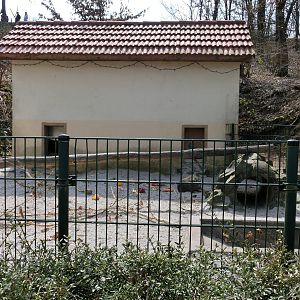 indian crested porcupine exhibit - Zoo Neunkirchen