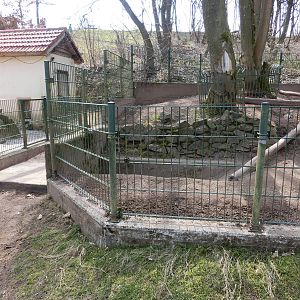 indian crested porcupine exhibit - Zoo Neunkirchen