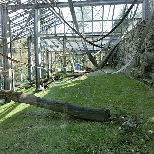 orang-utan exhibit - Zoo Neunkirchen