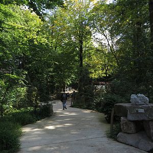 Visitor path