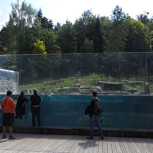 2nd Polar bear enclosure