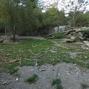 Timber wolf enclosure