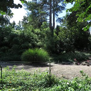Vulture enclosure