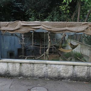 red ruffed lemur enclosure