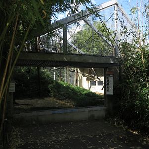 Gibbon enclosure