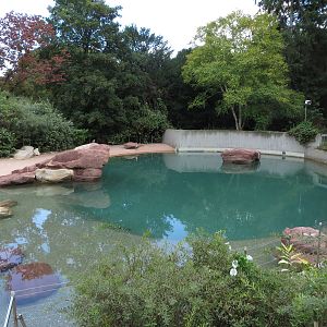 Sea lion pool