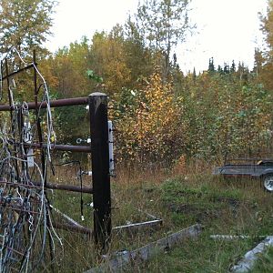 Former Elephant Yard, soon to be Moose Habitat.