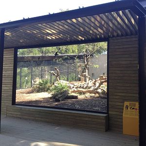 New Mandrill exhibit