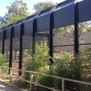 New Mandrill exhibit