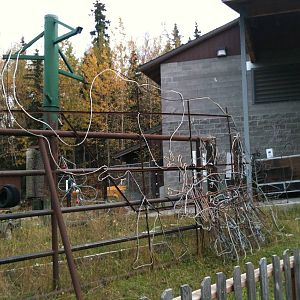 Former Elephant Yard; soon to be Moose Habitat