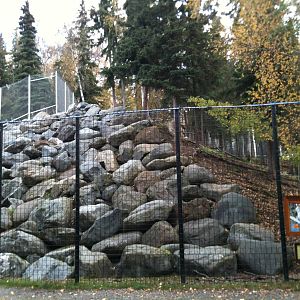 Dall Sheep exhibit from the west.