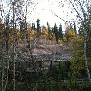 Snow Leopard Exhibit
