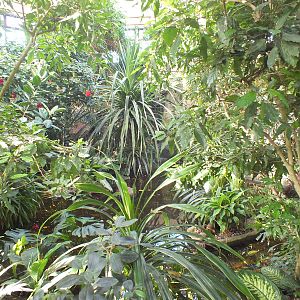 Walk through tropical exhibit