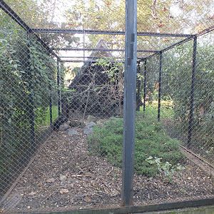 Pheasant enclosure example
