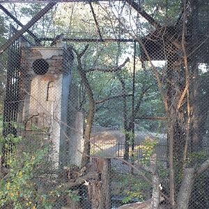 Bird of prey exhibit example