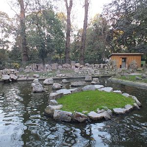 Black footed penguin exhibit