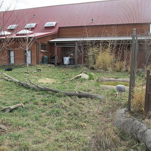 Elephant Passage - Sarus Crane Yard