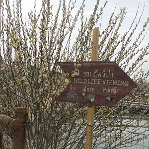 Elephant Passage - Signage