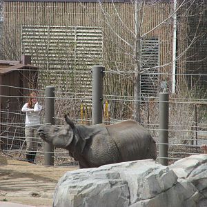Elephant Passage - Indian Rhino