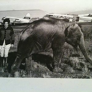 Archival Photo of The Alaska Zoo's Founders