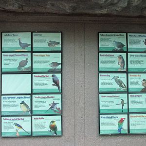 Bird World Forest Exhibit Species List
