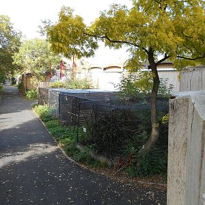Off-show cages (behind Tiger Territory)