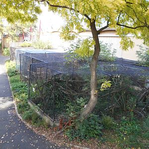 Off-show cages (behind Tiger Territory)