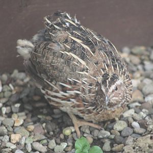 Minutes after arrival, 27th September 2014