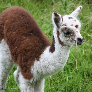 Still awaiting a name, 27th September 2014