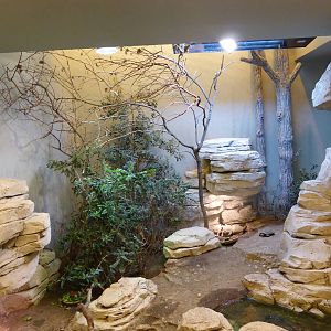 Enclosure in Vivarium under Grand Rocher
