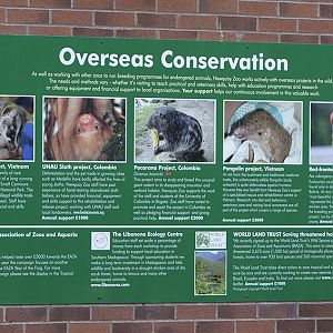 Conservation Projects board