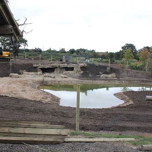 African Hunting dog enclosure 27-9-14
