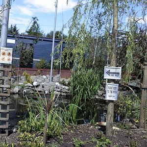 African Aviary Entrance Inside-06/07/2014