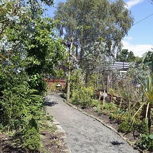Far side of African Aviary-06/07/2014
