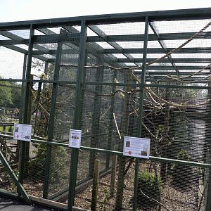 Marmoset/Tamrin Enclosures-06/07/2014