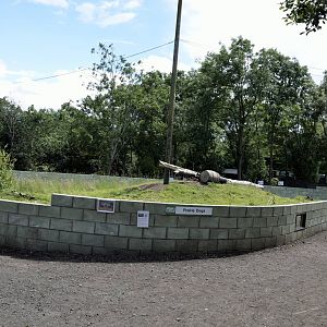 Prairie dog enclosure-06/07/2014
