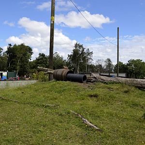 Prairie dog enclosure features-06/07/2014