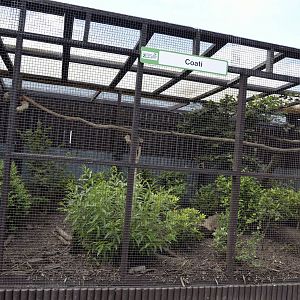 Coati external enclosure-06/07/2014