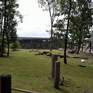 Wallaby walk through-06/07/2014