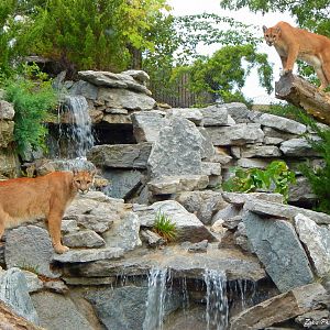 Jul. 2014 - Cat Canyon - Tecumseh + Joseph (A lucky shot)
