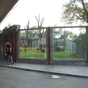 Bear exhibit