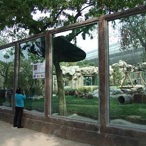 Bear exhibit