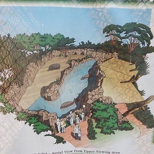 Aug. 2014 - Final Phase of Africa - Hippos Coming in 2016