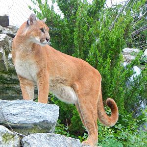 Aug. 2014 - Cat Canyon - Joseph