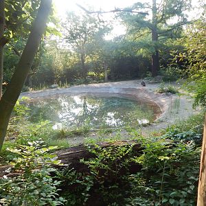 Aug. 2014 - Crested Screamer Exhibit (Temporary)