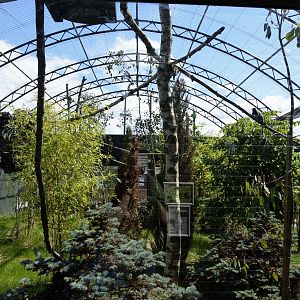 Marmoset enclosure-06/07/2014