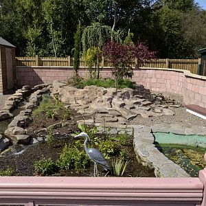 Short claw otter enclosure-06/07/2014