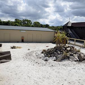 Meerkat enclosure-06/07/2014