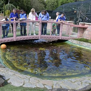 Otter enclosure-06/07/2014