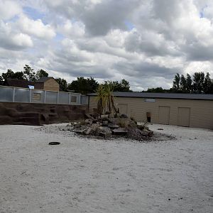 Meerkat enclosure-06/07/2014